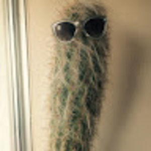 Meet your Posher, Kathryn